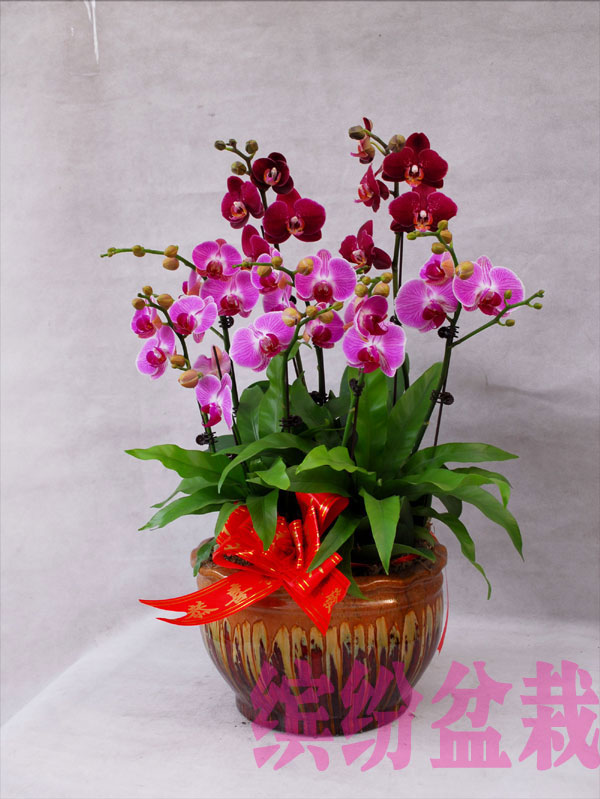 20140320141534395.jpg