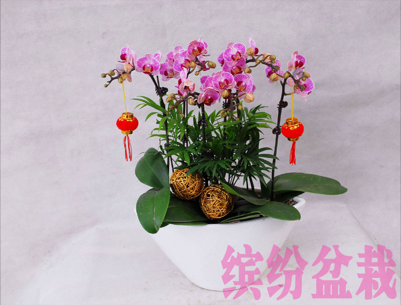20140320142030868.jpg
