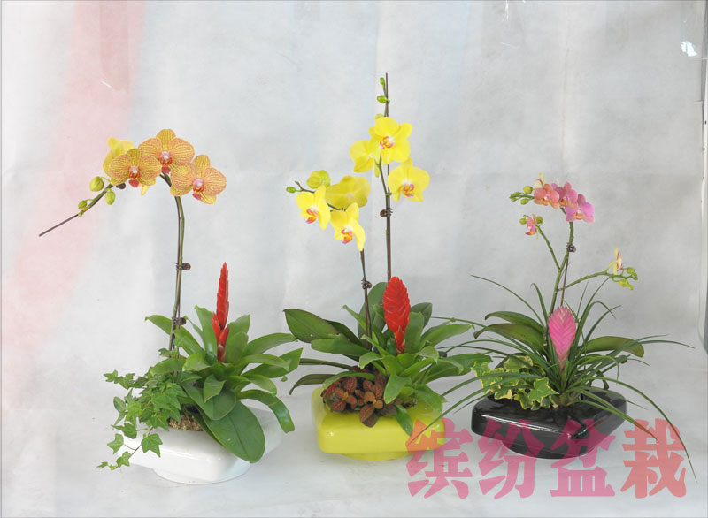 20140320142329850.jpg
