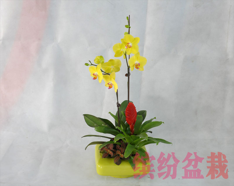 20140320142346925.jpg
